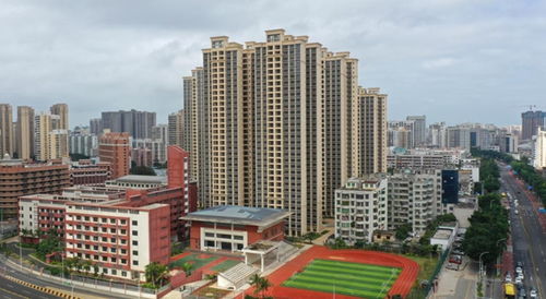 海口市美兰区龙岐片棚改绽放新篇 龙岐雅苑南区回迁商品房圆满交房